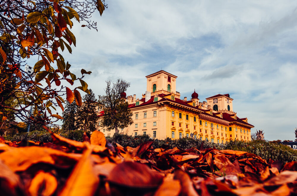 Auf dem Boden vor einem Schloss liegen leuchtende Herbstblätter und erzeugen eine einladende, herbstliche Kulisse.