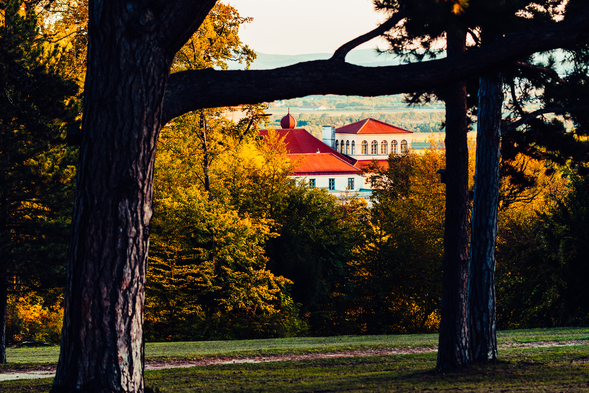 Herbstgold Schlosspark Eisenstadt