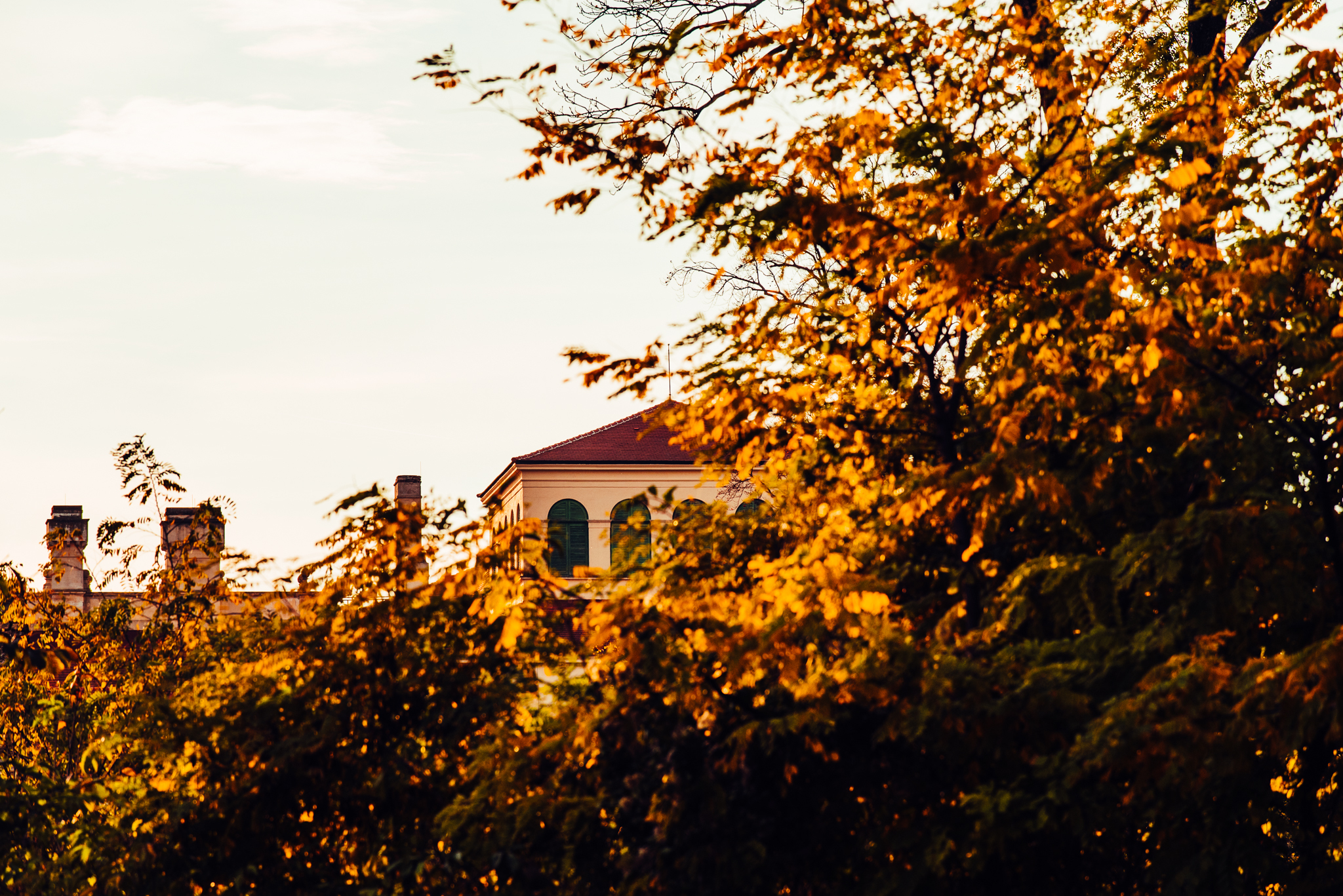 Herbstgold Eisenstadt